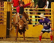 Rodeo_20