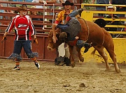Rodeo_35